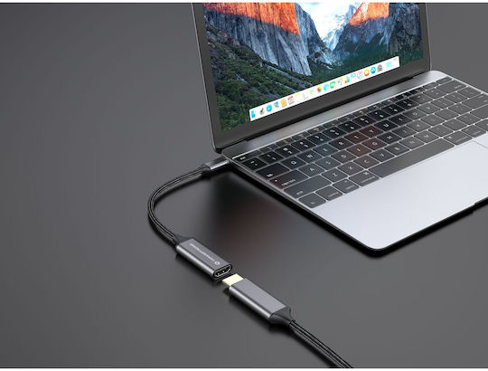 Conceptronic Converter USB-C male to HDMI female Gray 1pcs ABBY09G