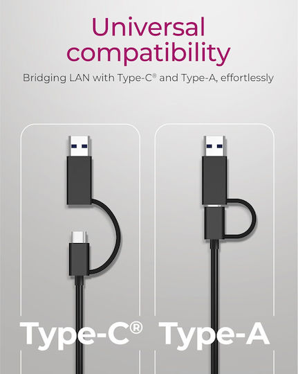 Icy Box IB-LAN301-C3 Αντάπτορας Δικτύου USB-C με Ενσύρματη Σύνδεση Ethernet