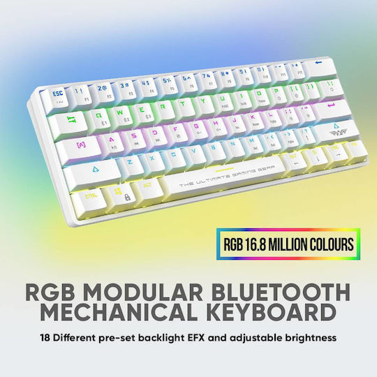 Armaggeddon MBA 61R Starling Wireless Gaming Mechanical Keyboard 60% with Outemu Blue switches and RGB lighting (English US) White