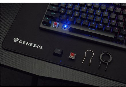 Genesis Thor 303 Gaming Μηχανικό Πληκτρολόγιο Tenkeyless με Outemu Red διακόπτες και RGB φωτισμό (Αγγλικό US)