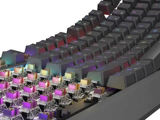 Genesis Thor 230 TKL Gaming Mechanical Keyboard Tenkeyless with Outemu Brown switches and RGB lighting (English US)