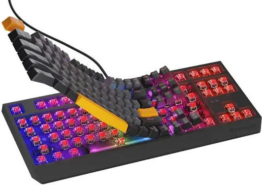 Genesis Thor 230 TKL Gaming Mechanical Keyboard Tenkeyless with Outemu Red switches and RGB lighting (English US) Anchor Gray Positive