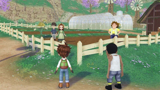 Story Of Seasons: A Wonderful Life Limited Издание Игра за Switch