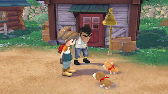 Story Of Seasons: A Wonderful Life Limited Издание Игра за Switch