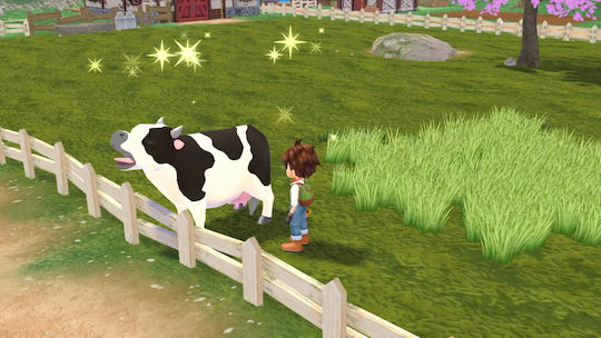 Story Of Seasons: A Wonderful Life Limited Издание Игра за Switch