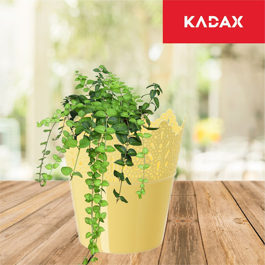 Kadax Blumentopf 14,5 cm Farben Kadax Blumentopf 14,5 cm Farben