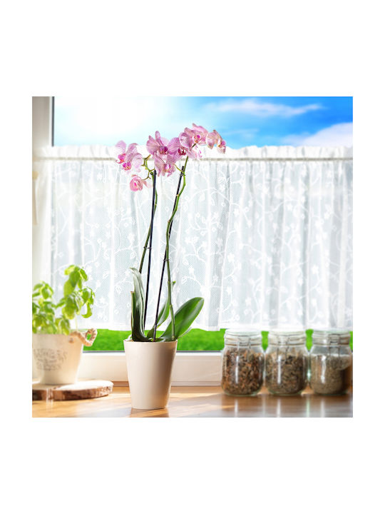 Kadax Orchid Pot Cover Plastic Plant Stand 13 Cm Ecru Kadax Orchid Pot Cover Plastic Plant Stand 13 Cm Ecru