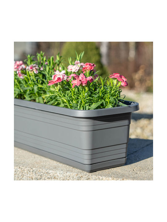 Kadax Balkon Pflanzkasten Blumenkasten 60cm + Untersetzer Anthrazit