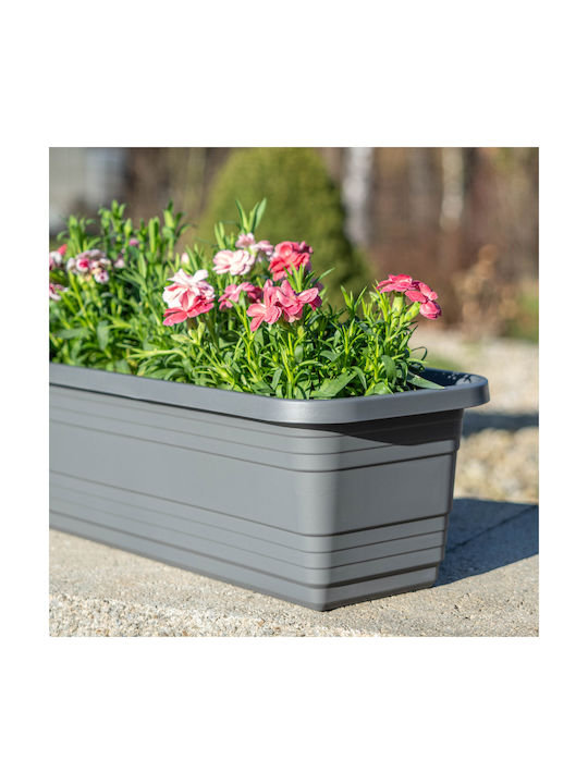 Jardinieră pentru Balcon Kadax 80cm Antracit Cutie pentru Flori