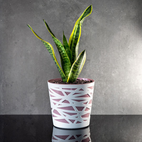 Ghiveci de Flori Kadax, Inserție din Plastic pentru Plante, 15 cm, Roz