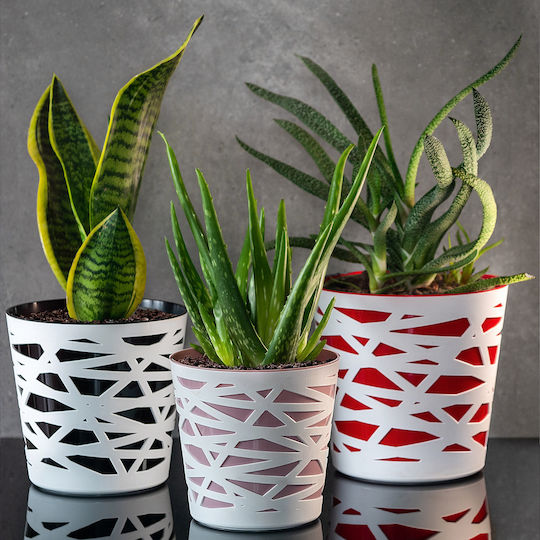 Ghiveci de Flori Kadax, Inserție din Plastic pentru Plante, 15 cm, Roz