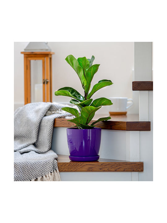 Kadax Plastic Flower Pot with Saucer 12cm Purple