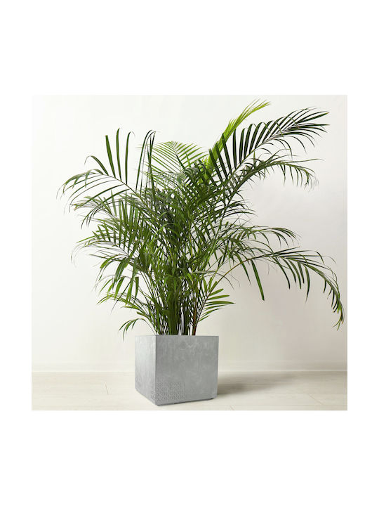 Kadax Flower Pot Planter High 40cm Garden Box On Wheels Eco