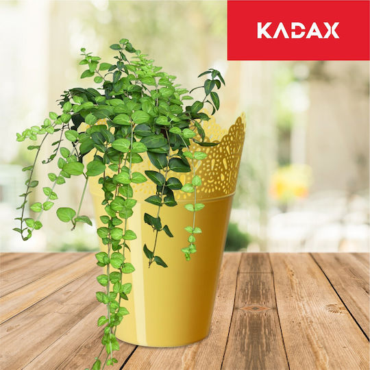 Kadax Blumentopf 16,5cm Farben Kadax Blumentopf 16,5cm Farben