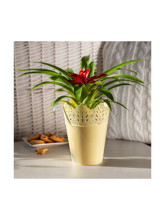 Kadax Flower Pot 14.5cm Colors