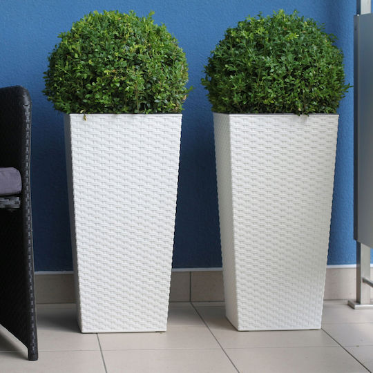 Kadax Set 3 Planters Rattan Insert White 75cm