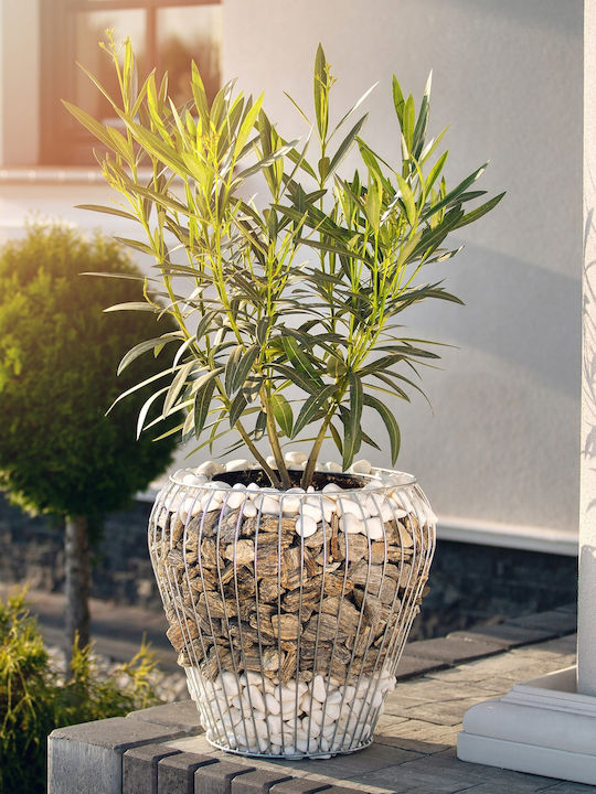 Kadax Galvanized Steel Garden Gabion Planter 42cm