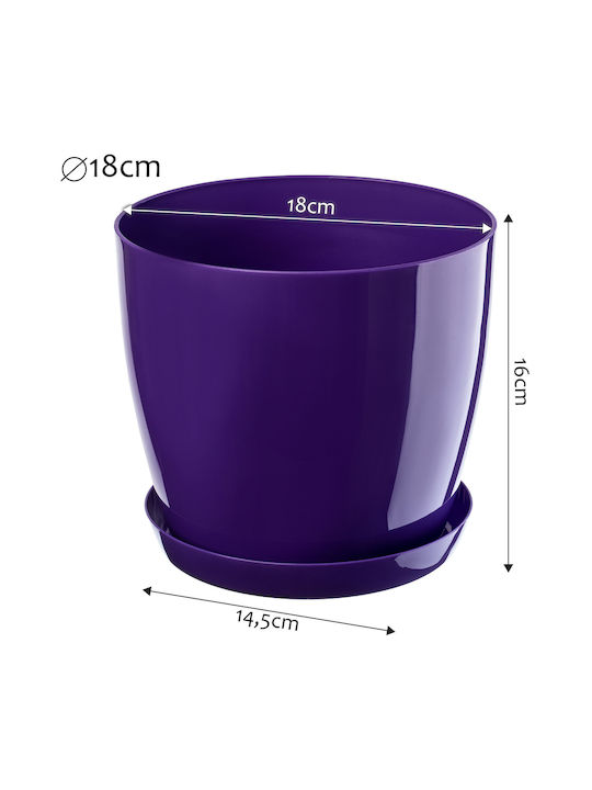 Farfurie pentru ghiveci Kadax, capac din plastic pentru ghiveci, 18cm, flori mov