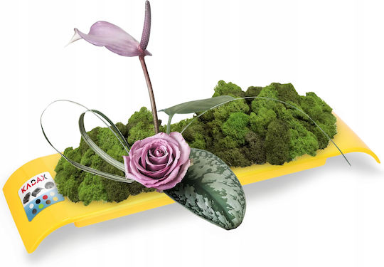 Kadax Flower Pot Cover Ikebana Composition