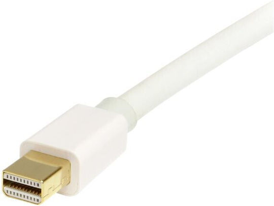 StarTech Cable mini DisplayPort male - DisplayPort male 1m (MDP2DPMM1MW)