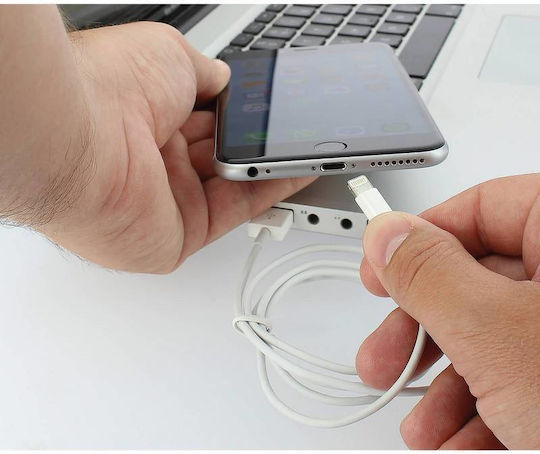 Pulse USB-A to Lightning Cable 1m (cr0031440)