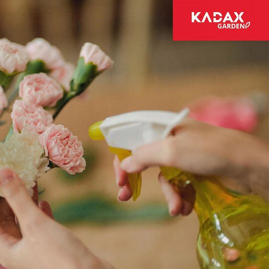 Kadax Ψεκαστήρι Άμεσης Πίεσης 550ml