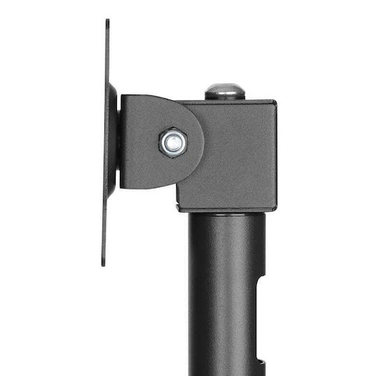 Newstar Ständer Auf dem Schreibtisch Bildschirm bis zu 32" (NS-DPOS100BLACK)