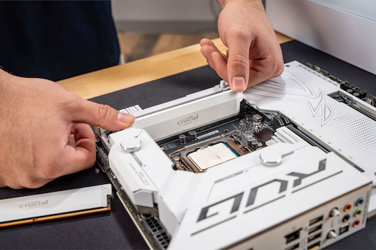 Crucial Pro DDR5 with Module 1x16GB and Speed 6000 for Desktop