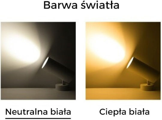 Greenie Single LED Natural White Spot in White Color