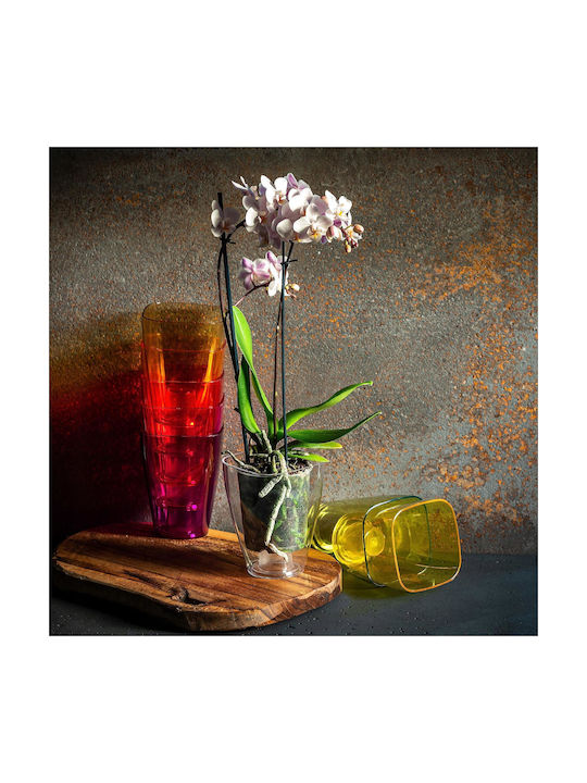 Kadax Orchid Pot Cover Plastic Flower Pot 9cm Transparent
