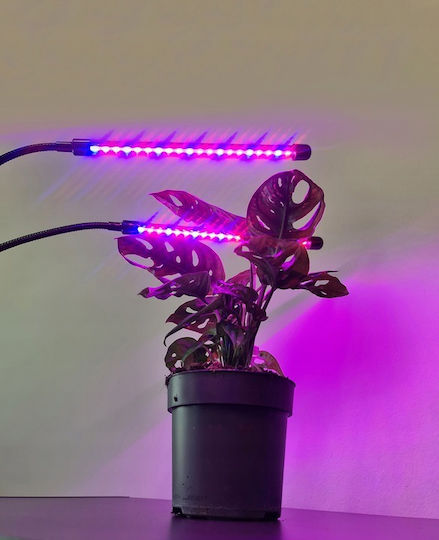 Lampă cu 2 brațe pentru creșterea plantelor de interior Zola Fără Emisie de Căldură 20 LED-uri pe Braț 2 Culori 180 Grade