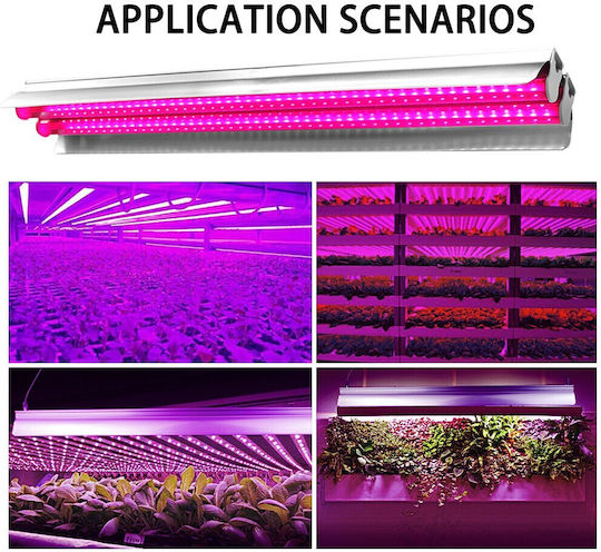Lampa dublă pentru creșterea plantelor Flippy 50 cm Tehnologie LED T5 Nu afectează plantele Potrivită pentru întregul ciclu de creștere Multicolor