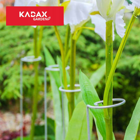 Kadax Stützhalter Pflanzen Blumen Rosen Stahl 60 cm