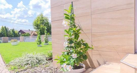 Con de Suport pentru Plante Kadax, Plante Cățărătoare, 120cm