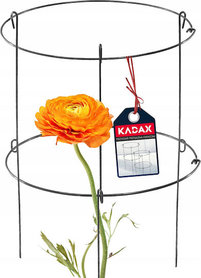 Поддържащи скоби за растения, цветя, рози Kadax 60+90см