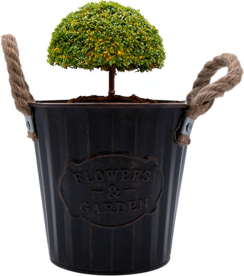 Uncle George Planter Metal Black 19.5x19.5x16cm.