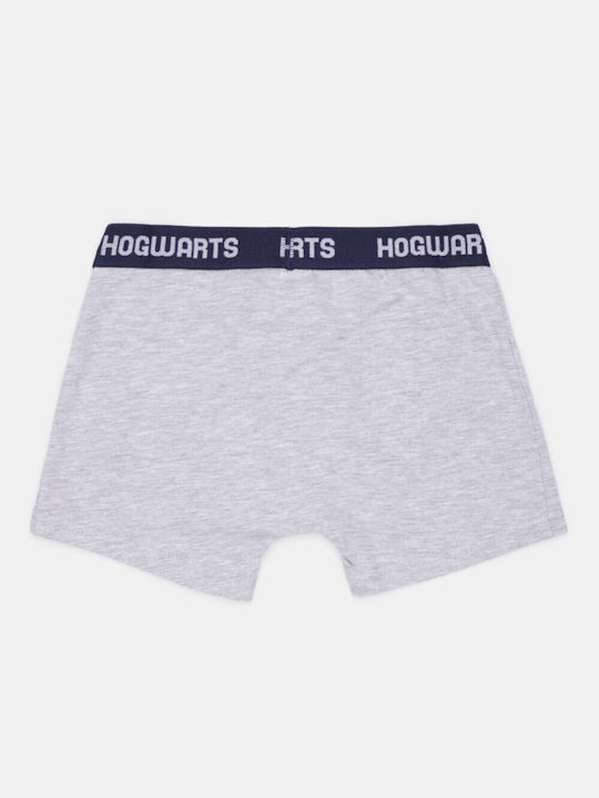 Harry Potter Kids' Boxer Grey