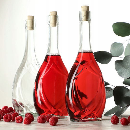 Kadax Set 6 Bucăți Vaze Utilizare Generală cu Plută Sticlă Transparentă 500ml 6 Bucăți