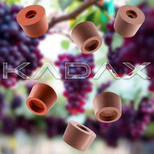Kadax Νταμιτζάνα 32843 15Es
