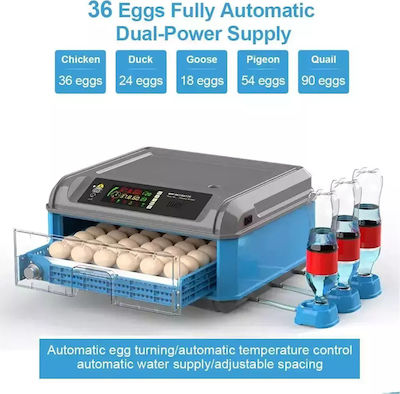 Brutmaschine