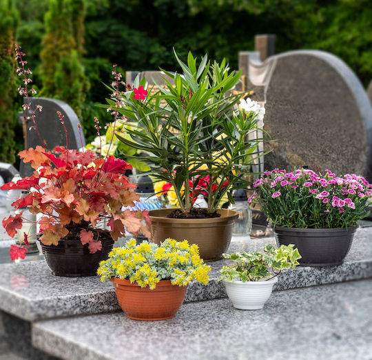 Kadax Vaza de Monument din Plastic