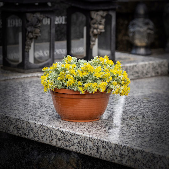 Kadax Plastic Memorial Vase