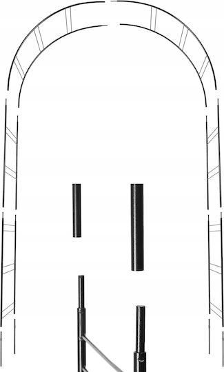 Arch Black