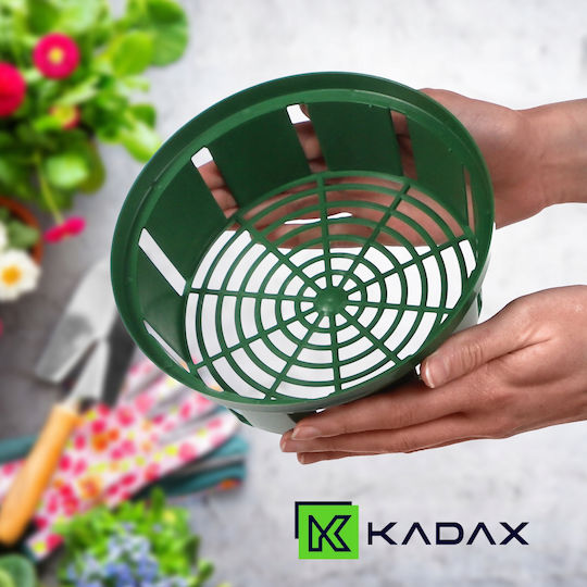 Kadax Γλαστράκι Φύτευσης