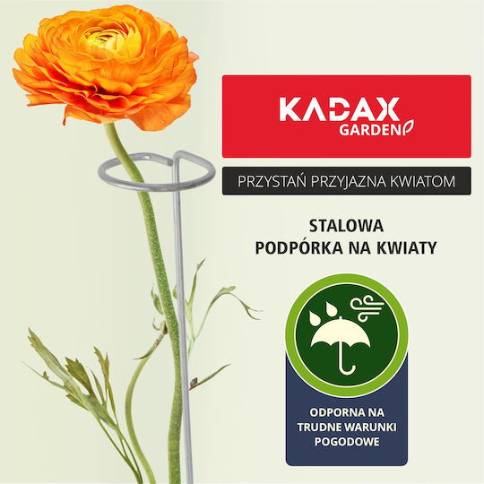 Trandafir Argintiu 90cm Kadax