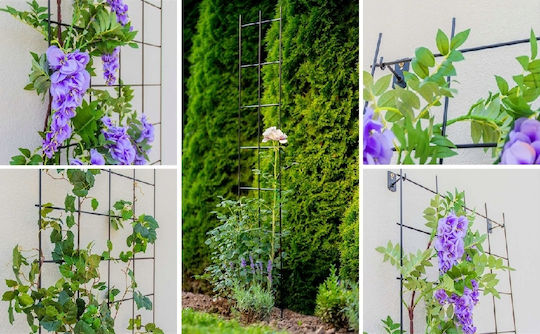 Garden Trellis in Black Colour 120x35cm
