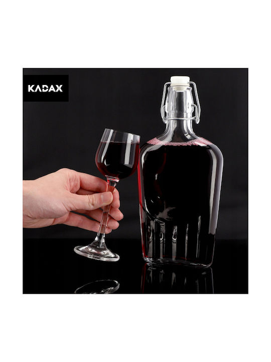 Kadax Flasche Wasser Glas mit Clip Transparent 500ml 6 Stück