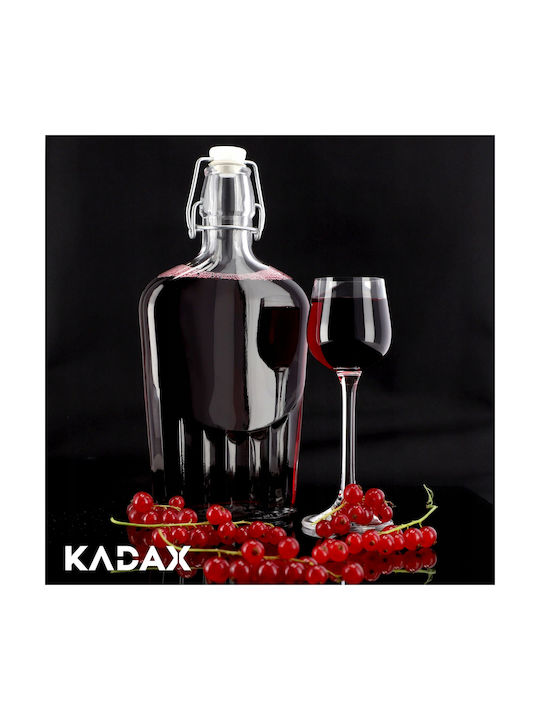 Kadax Flasche Wasser Glas mit Clip Transparent 500ml 6 Stück