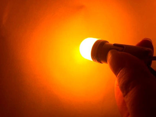 Led Ba15s P21w 12-24v Canbus Orange