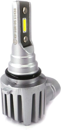 Led H10 9v-30v Canbus Csp Bulbs Set New